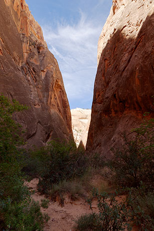 Surprise Canyon, Waterpocket Fold, Capitol Reef National Park, Utah