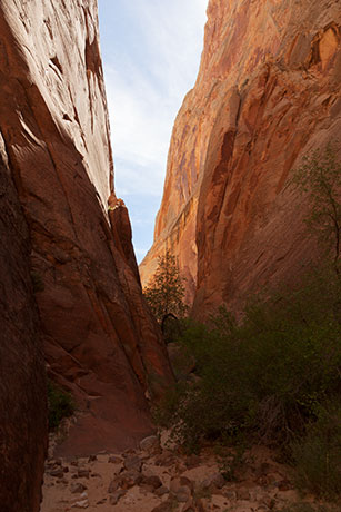Surprise Canyon, Waterpocket Fold, Capitol Reef National Park, Utah