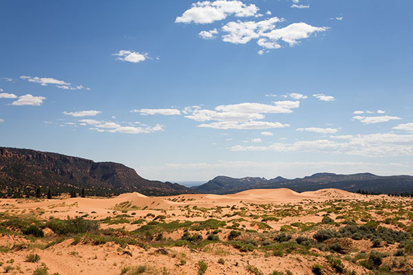 Sand Dunes at Coral Pink Sand Dunes State Park, Utah