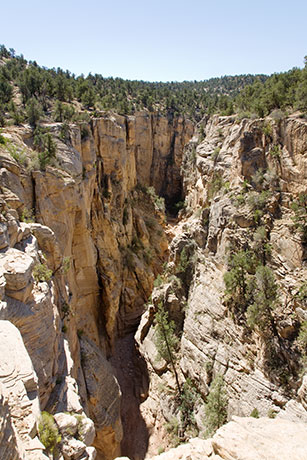 Bull Valley Gorge, Grand Staircase - Escalante National Monument, Utah
