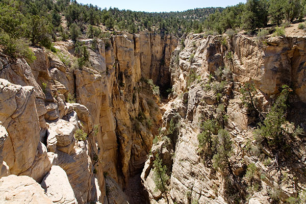 Bull Valley Gorge, Grand Staircase - Escalante National Monument, Utah