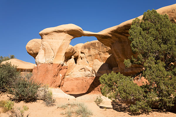 Devils Garden, Grand Staircase - Escalante National Monument, Utah