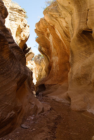 Slot Canyon, Willis Creek, Grand Staircase - Escalante National Monument, Utah