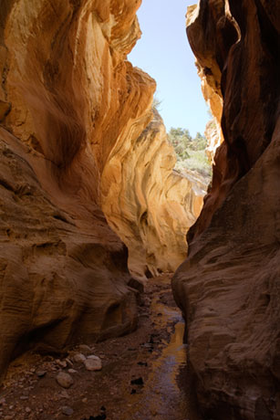 Slot Canyon, Willis Creek, Grand Staircase - Escalante National Monument, Utah
