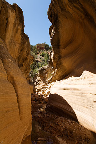 Slot Canyon, Willis Creek, Grand Staircase - Escalante National Monument, Utah