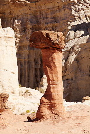 Toadstools Area, Grand Staircase - Escalante National Monument, Utah