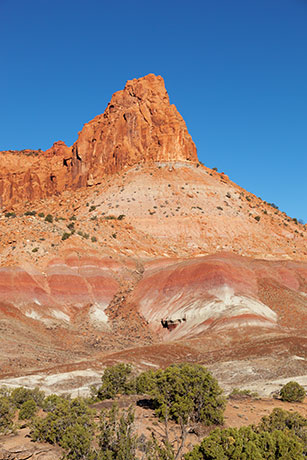 Along Wolverine Loop Road, Grand Staircase - Escalante National Monument, Utah