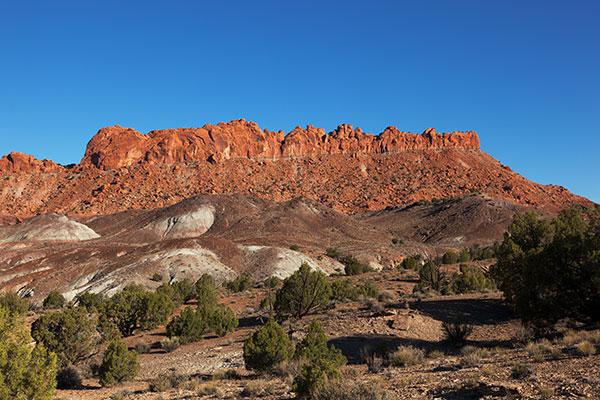 Along Wolverine Loop Road, Grand Staircase - Escalante National Monument, Utah