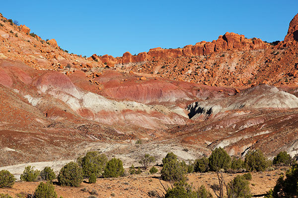 Along Wolverine Loop Road, Grand Staircase - Escalante National Monument, Utah