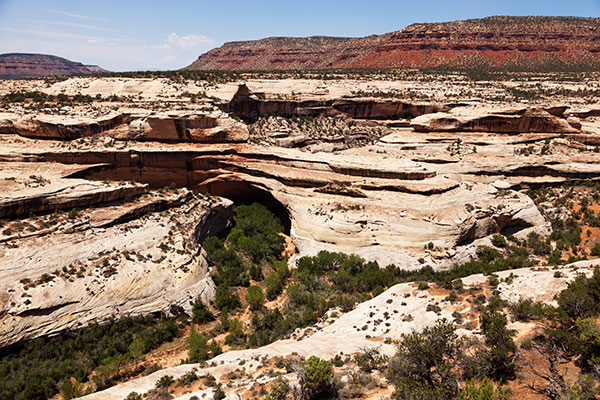 Kachina Bridge Natural Bridges National Monument Utah