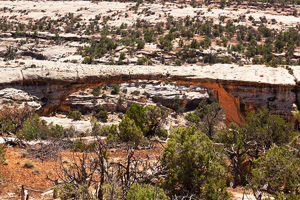Owachomo Bridge Natural Bridges National Monument Utah