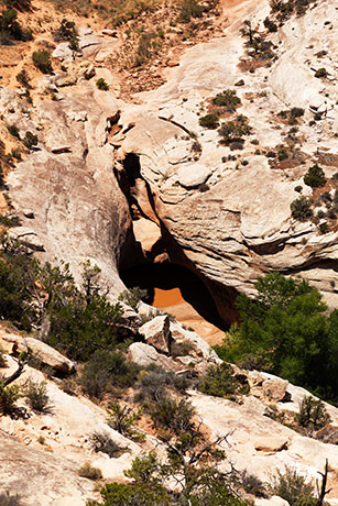 Plunge pool in Armstrong Canyon Natural Bridges National Monument Utah