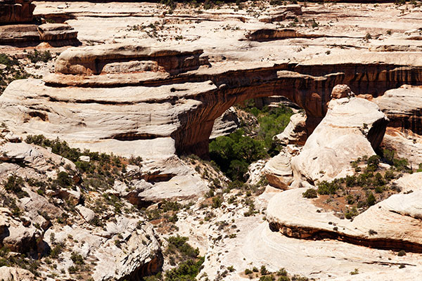 Sipapu Bridge Natural Bridges National Monument Utah
