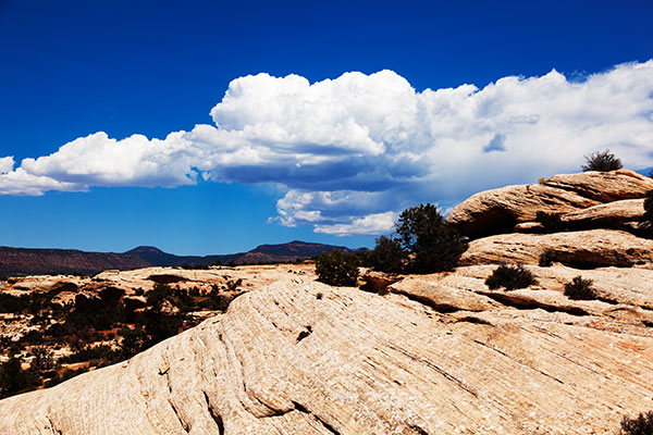 Slickrock Scene in Southeastern Utah