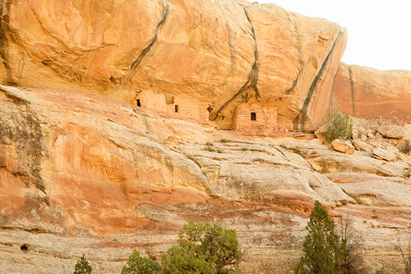Lower Mule Canyon Ruins, Cedar Mesa, Southeastern Utah