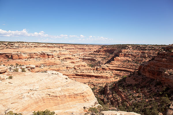 Road Canyon, Cedar Mesa, Southeastern Utah