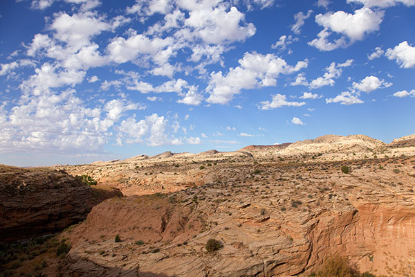 Butler Wash and Comb Ridge, Southeastern Utah