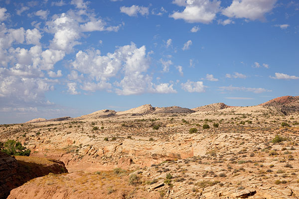 Butler Wash and Comb Ridge, Southeastern Utah