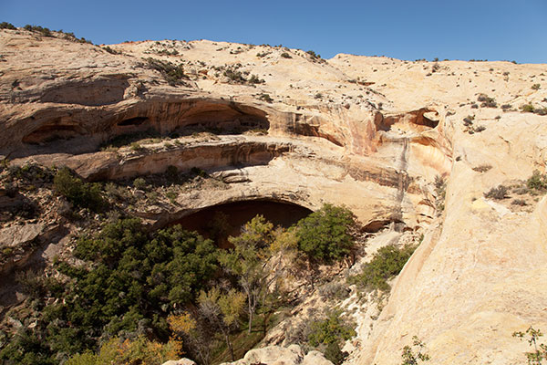 Butler Wash Ruins, Southeastern Utah