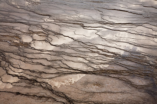 Bacteria forming run-off pools, Grand Prismatic Spring in Yellowstone National Park